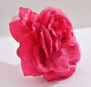 Flor Cabelo Roupa Rosa II